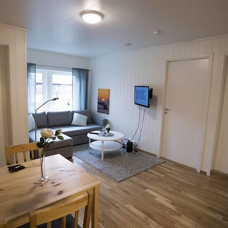 Ellingsen - Falcks Gate * Andenes